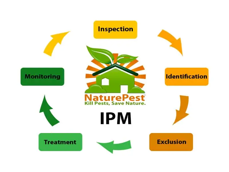 IPM Integrated Pest Management Process 1 Integrated Pest Management IPM Process
