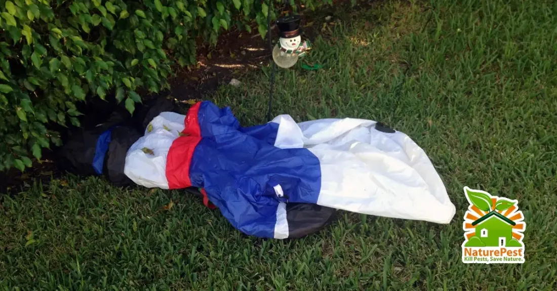 Christmas Lawn Ornaments Could Damage Your Lawn 1 Christmas Lawn Ornaments Could Damage Your Lawn