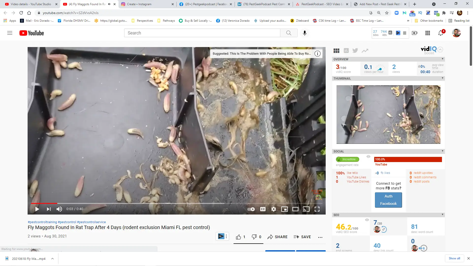 Fly Maggots In Rat Trap After 4 Days? Why? 1 Fly Maggots In Rat Trap After 4 Days? Why?