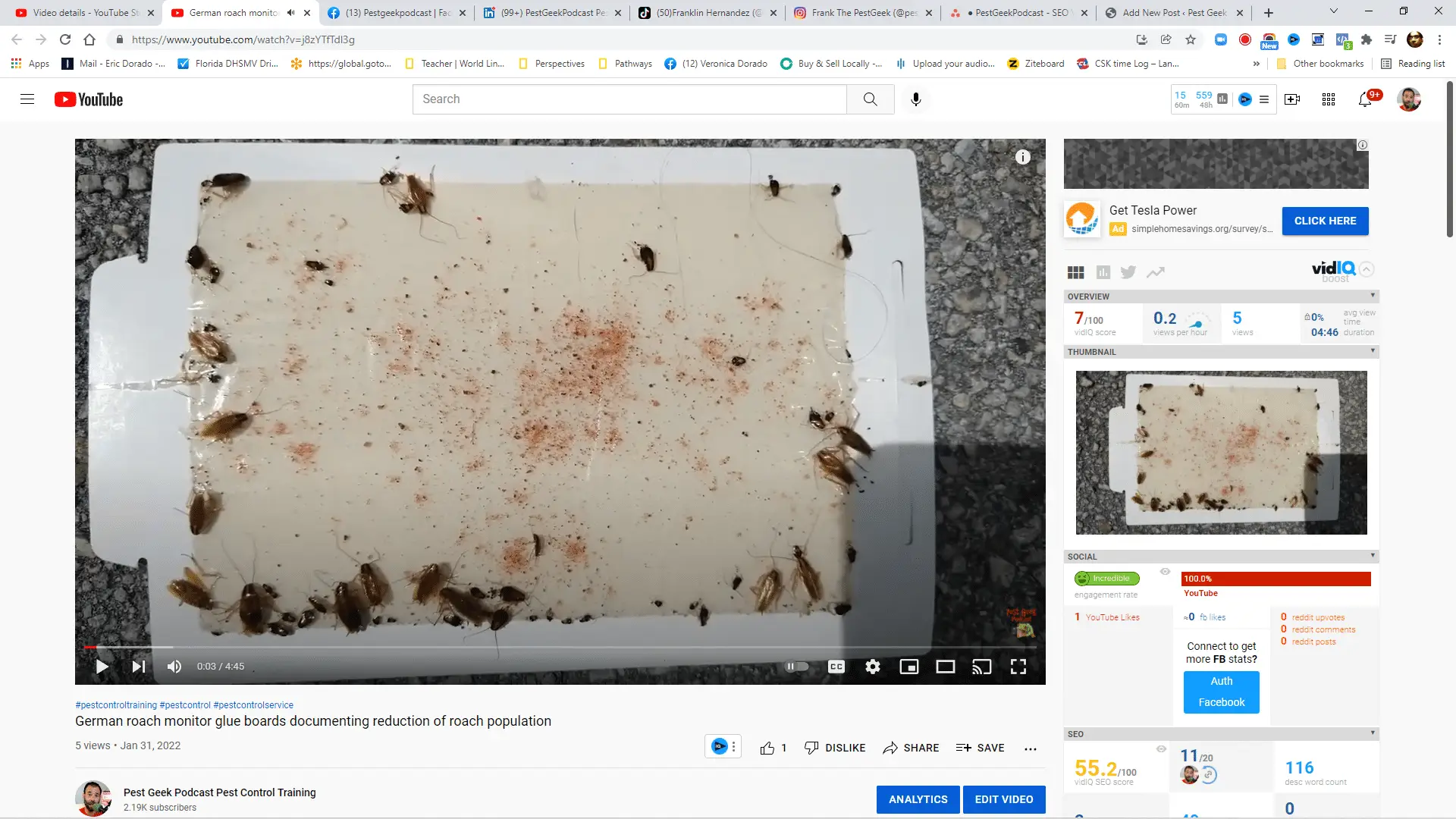 How To Use Glue Boards To Document German Roach Reduction In Your Home 1 How To Use Glue Boards To Document German Roach Reduction In Your Home