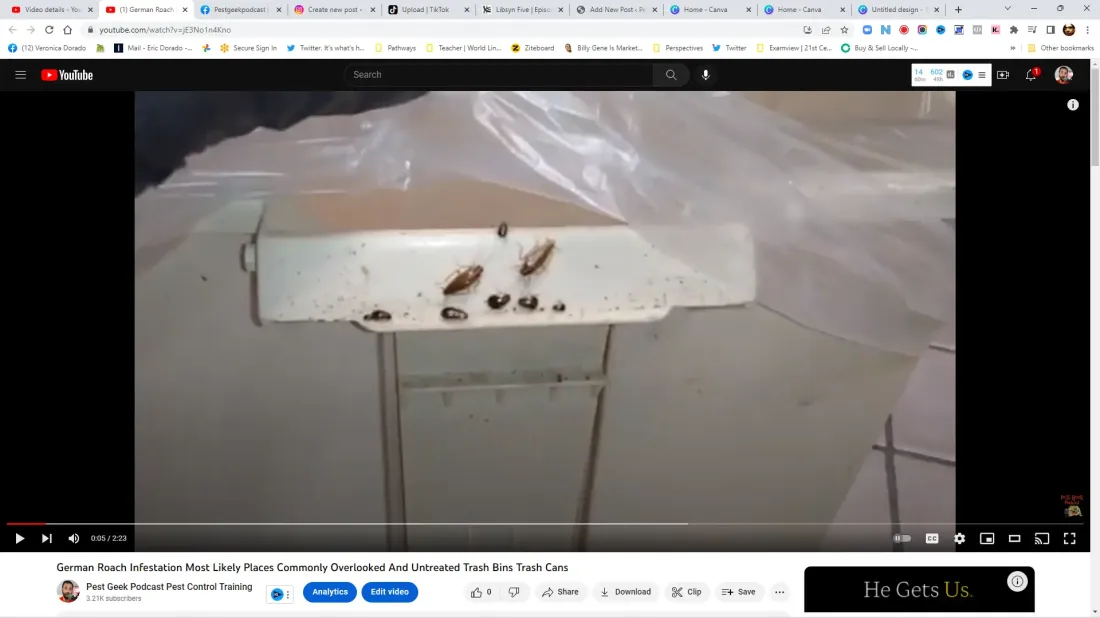 Discover the Surprising Spots You Didn't Know German Cockroaches Are Lurking! 1 Discover the Surprising Spots You Didn’t Know German Cockroaches Are Lurking!