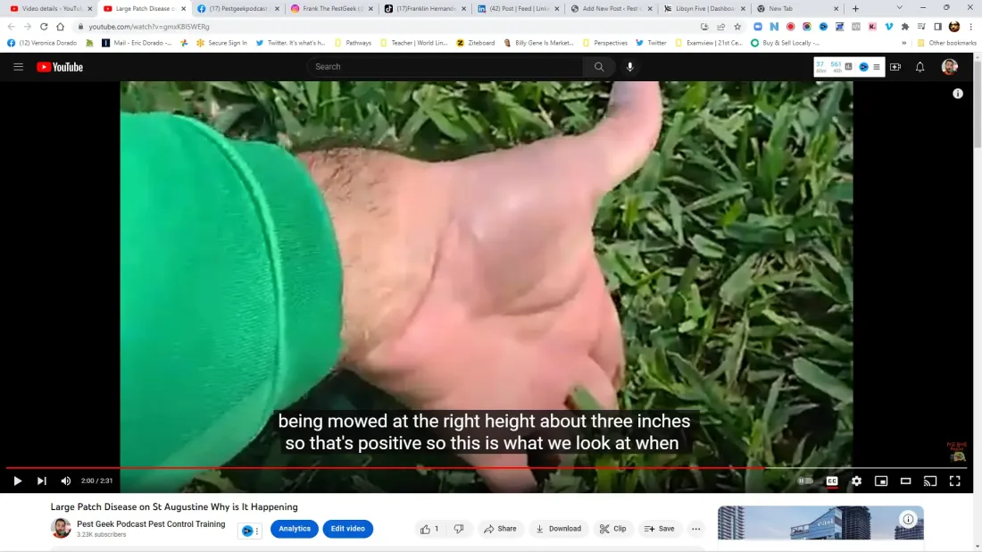 Discover the Culprit Behind St Augustine Grass Patch Disease 1 Discover the Culprit Behind St Augustine Grass Patch Disease