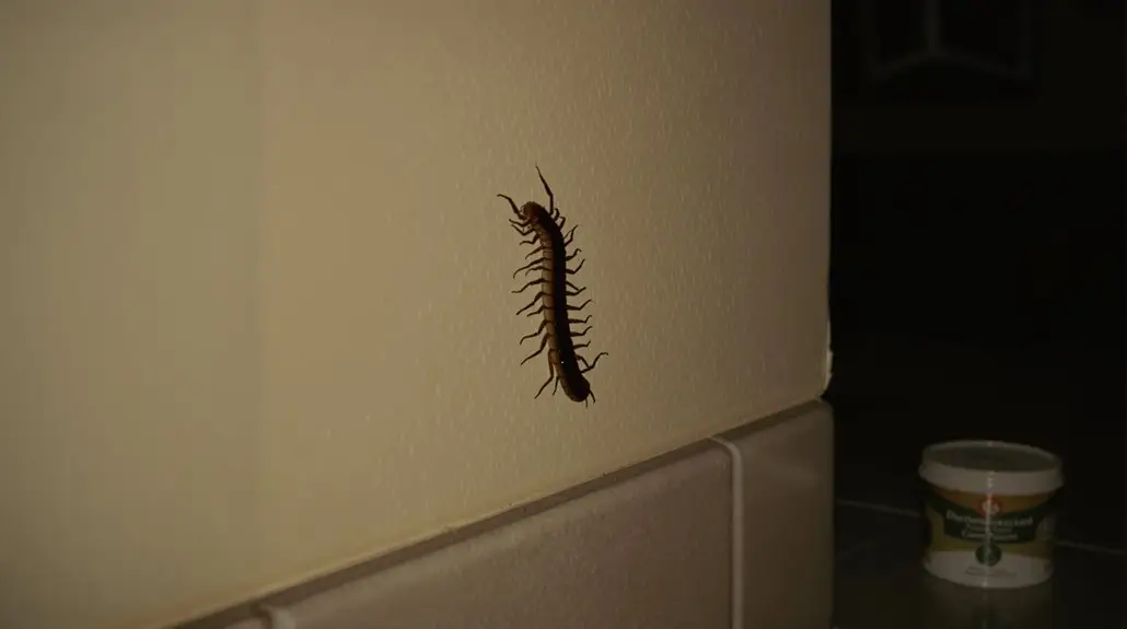 Why Are There Centipedes in My House and What Can I Do About It 1 centipedes invading your home